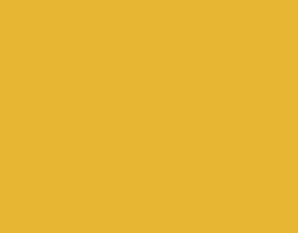 Yellow rectangle used as background for founder