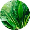 Potassium in raw spinach 
