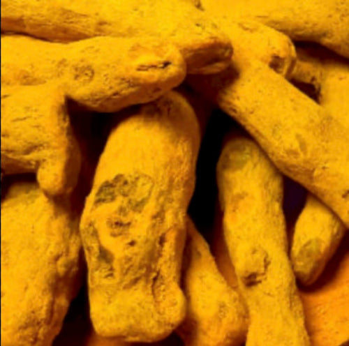 Close-up of dog treats with a warm yellow tint