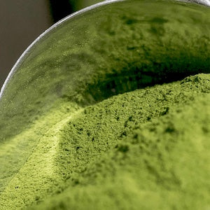 Close-up of plant based protein powder in a metal scoop