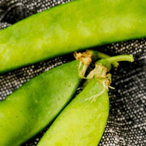 Close-up of green peas in a pod on a textured black background